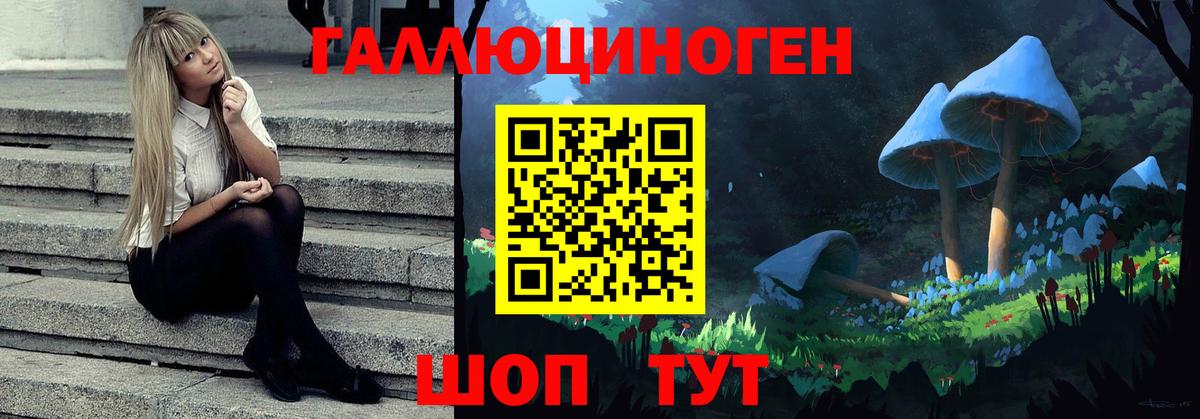 Нерюнгри  Галлюциногенные грибы Psilocybine cubensis  Вход с VPN 